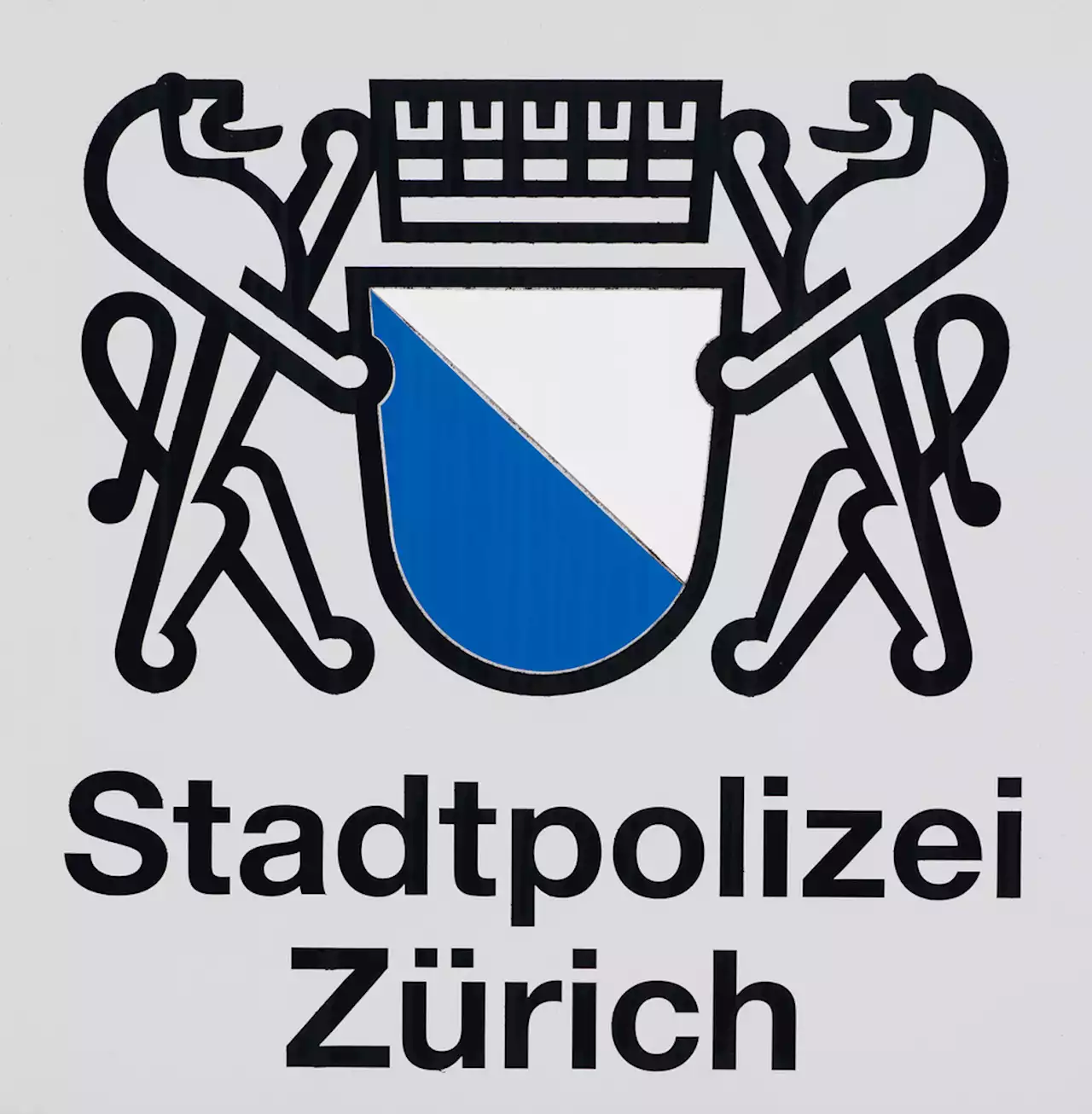 Stadt Zürich ZH: Rund 40 Polizeieinsätze anlässlich Halloween