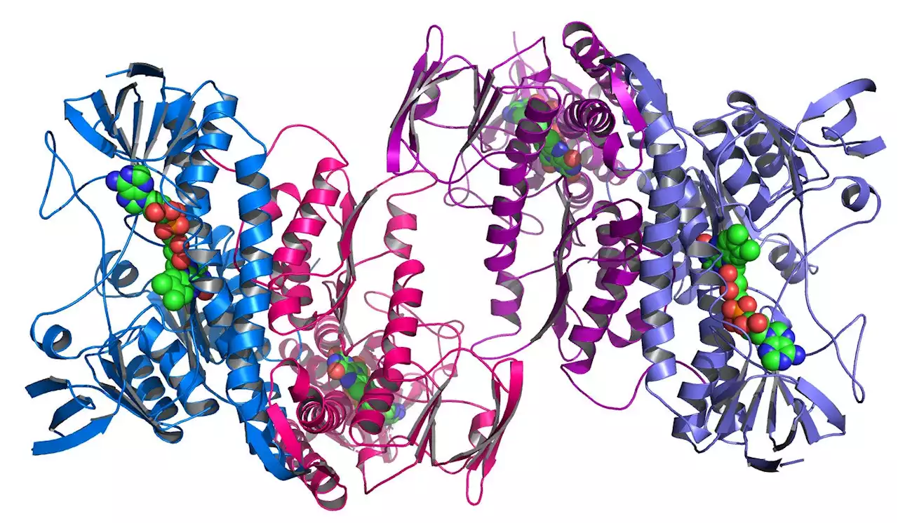 Meta’s AI could shake up how we study protein structures