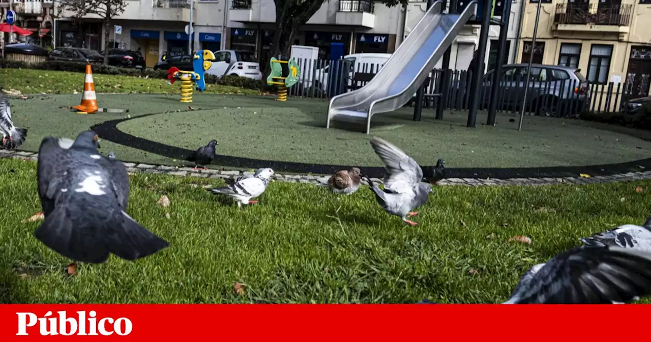 Mais (e melhores) parques infantis no Porto: “Toda a cidade ganharia”