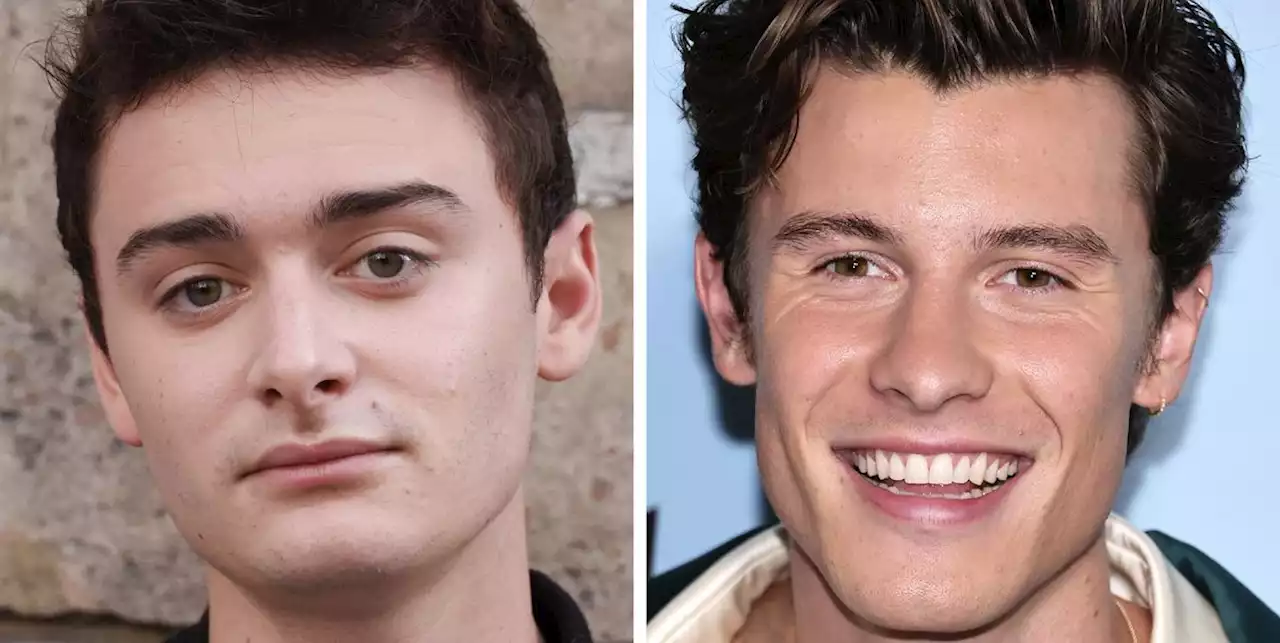 Noah Schnapp Admitted He “Guilt-Tripped” Shawn Mendes Into Following Him on Instagram