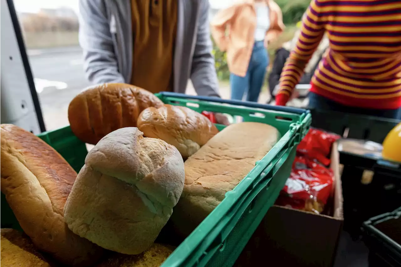 'Wants to crush us': Bay Area bakery sued by other bakery