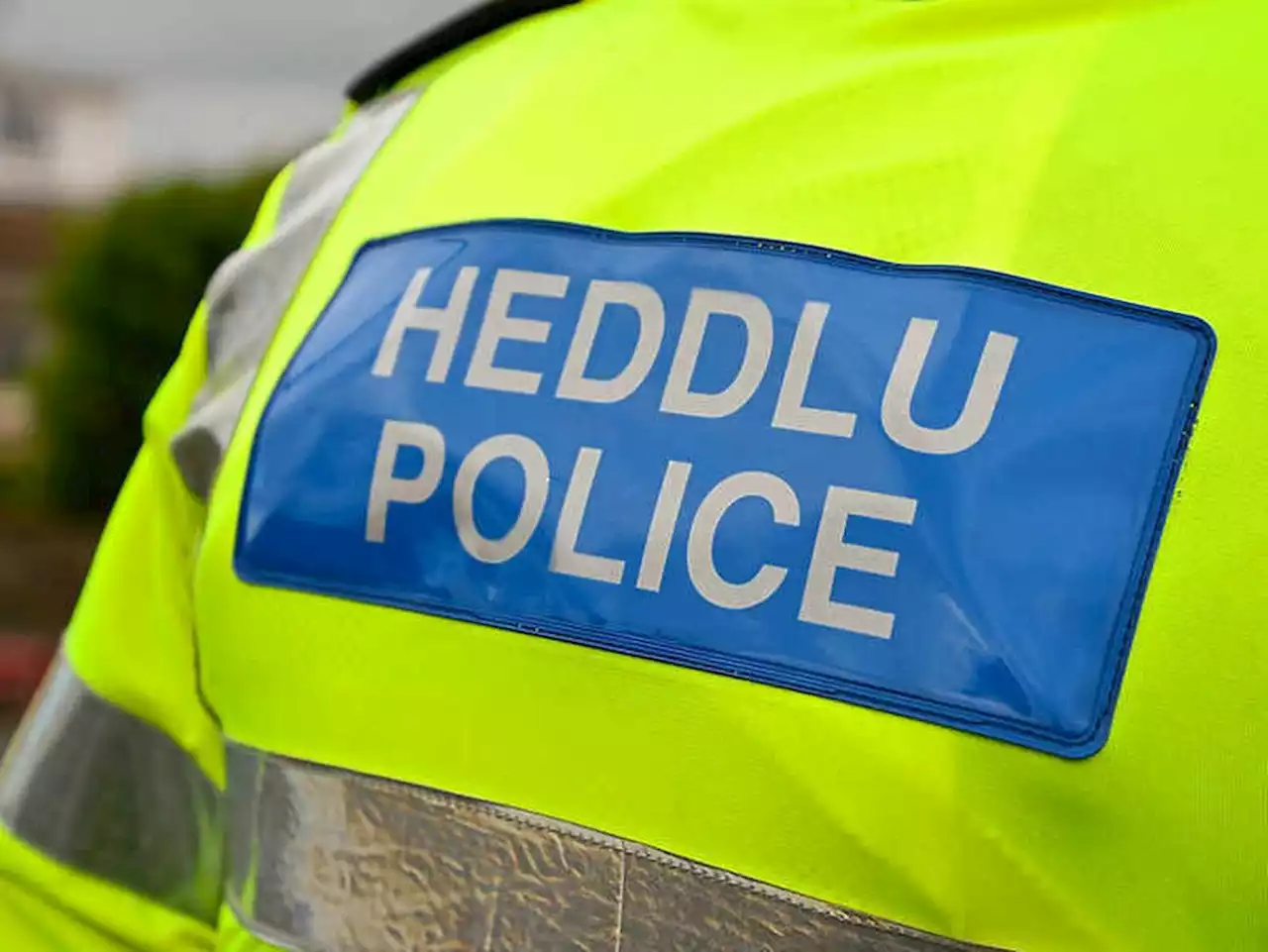 Police appeal after assault puts victim in hospital