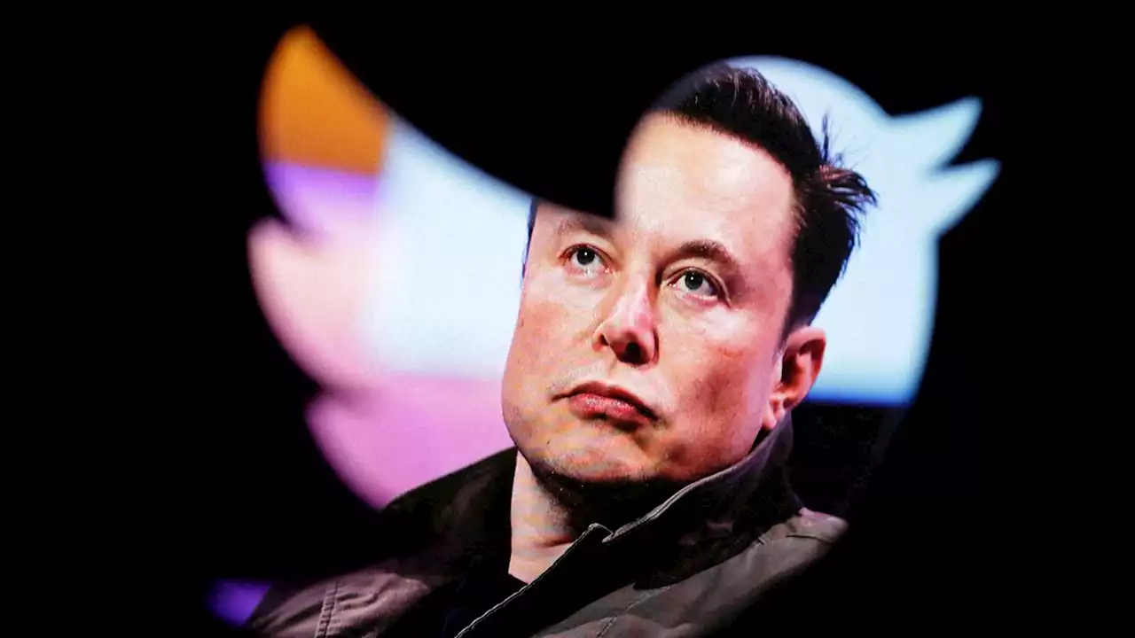 Elon Musk fires entire Twitter board and makes himself sole director