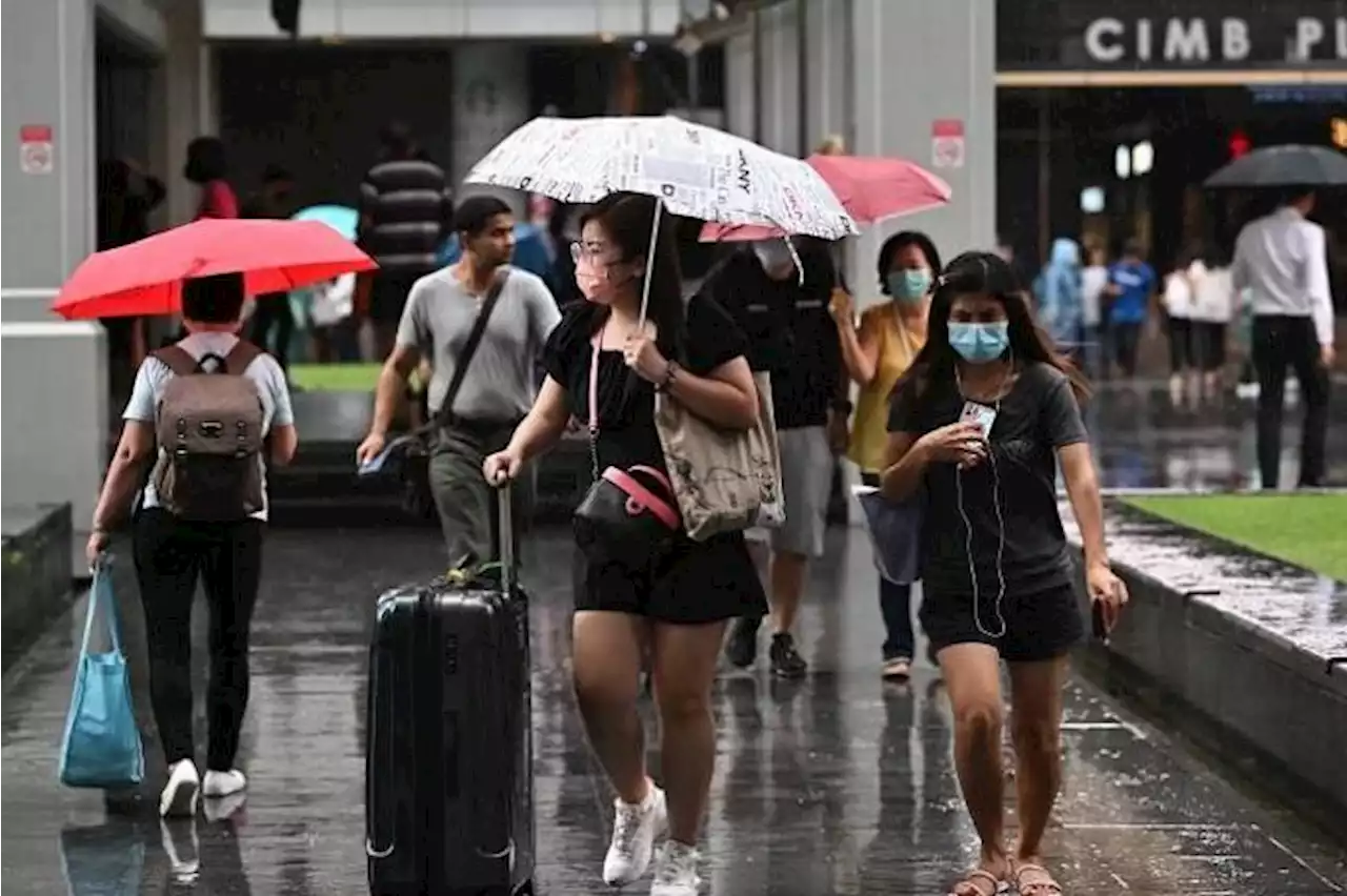 S’pore records wettest October in 40 years, rainy weather will persist into November