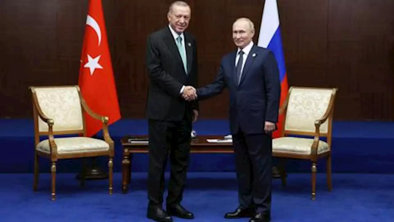 Gas hub can be set up in Türkiye very easily — Putin