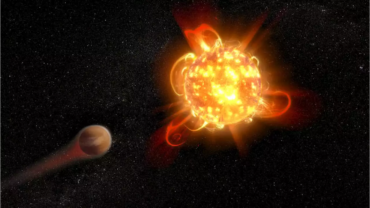 Another Reason Red Dwarfs Might Be Bad for Life: No Asteroid Belts