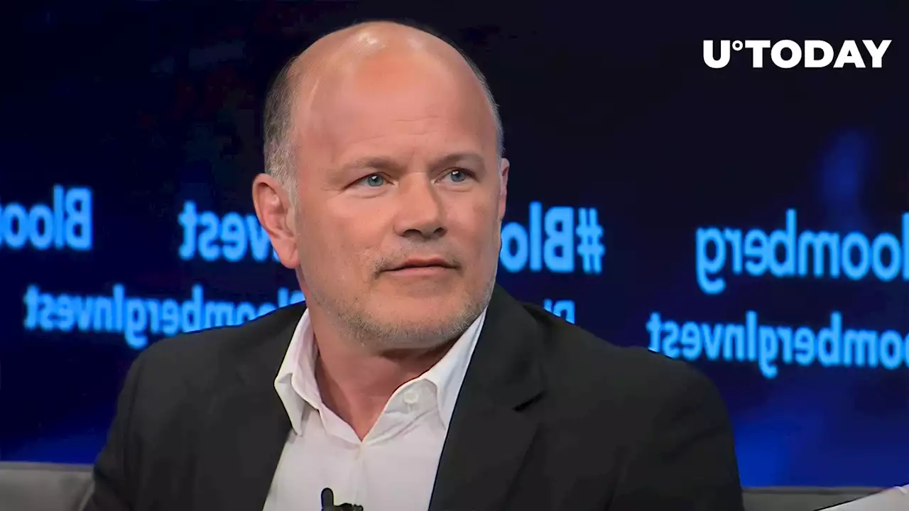 Billionaire Novogratz's Firm Exploring Mass Layoffs