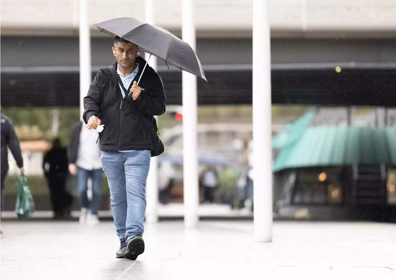 Yellow weather warning for wind and rain issued for Yorkshire by The Met Office