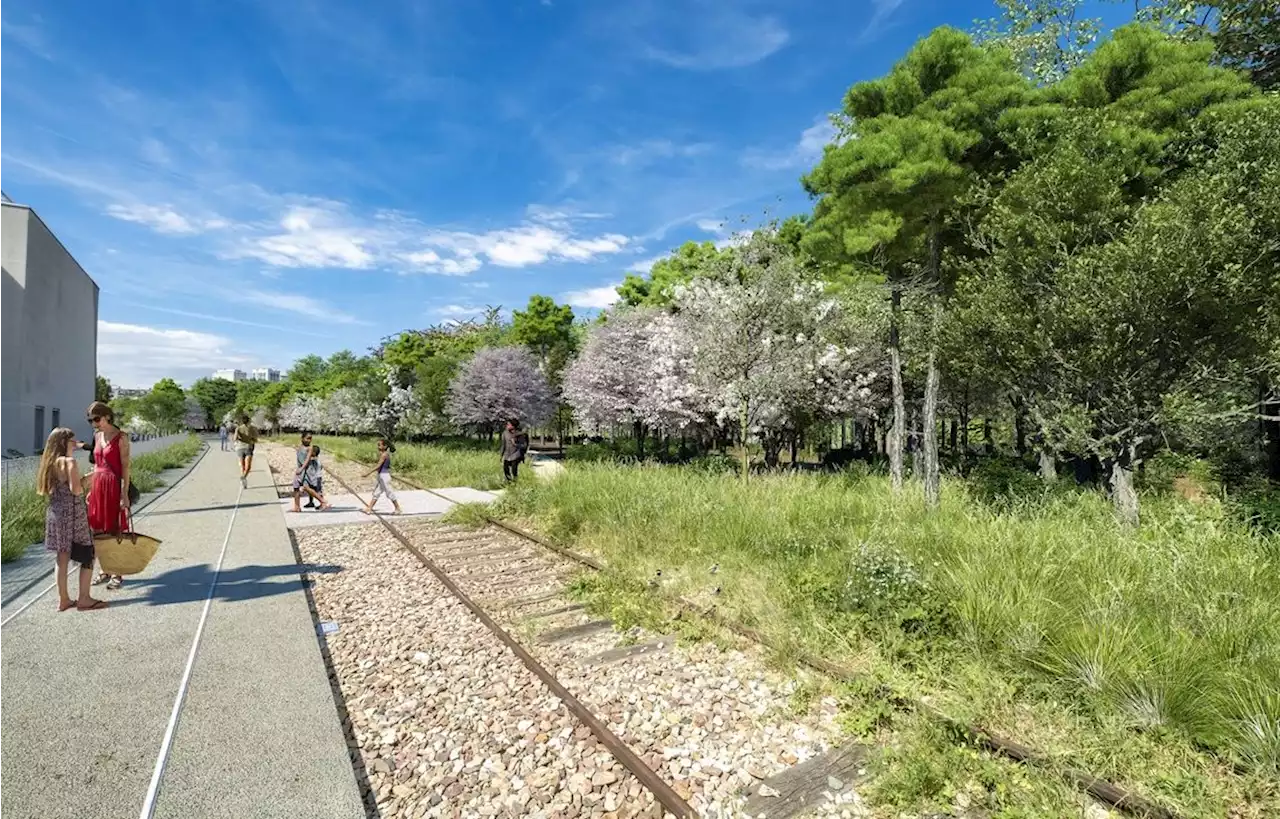 Dans l'Est de Paris, une forêt urbaine de 3,5 hectares sort du bois