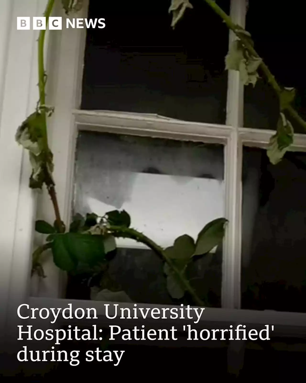 Croydon University Hospital: Patient 'horrified' during stay