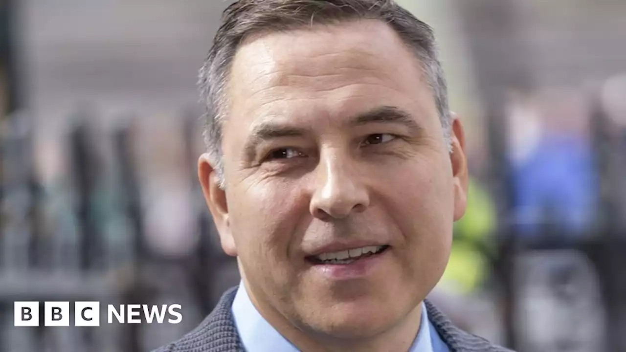 David Walliams sorry for 'disrespectful remarks' about Britain's Got Talent contestants