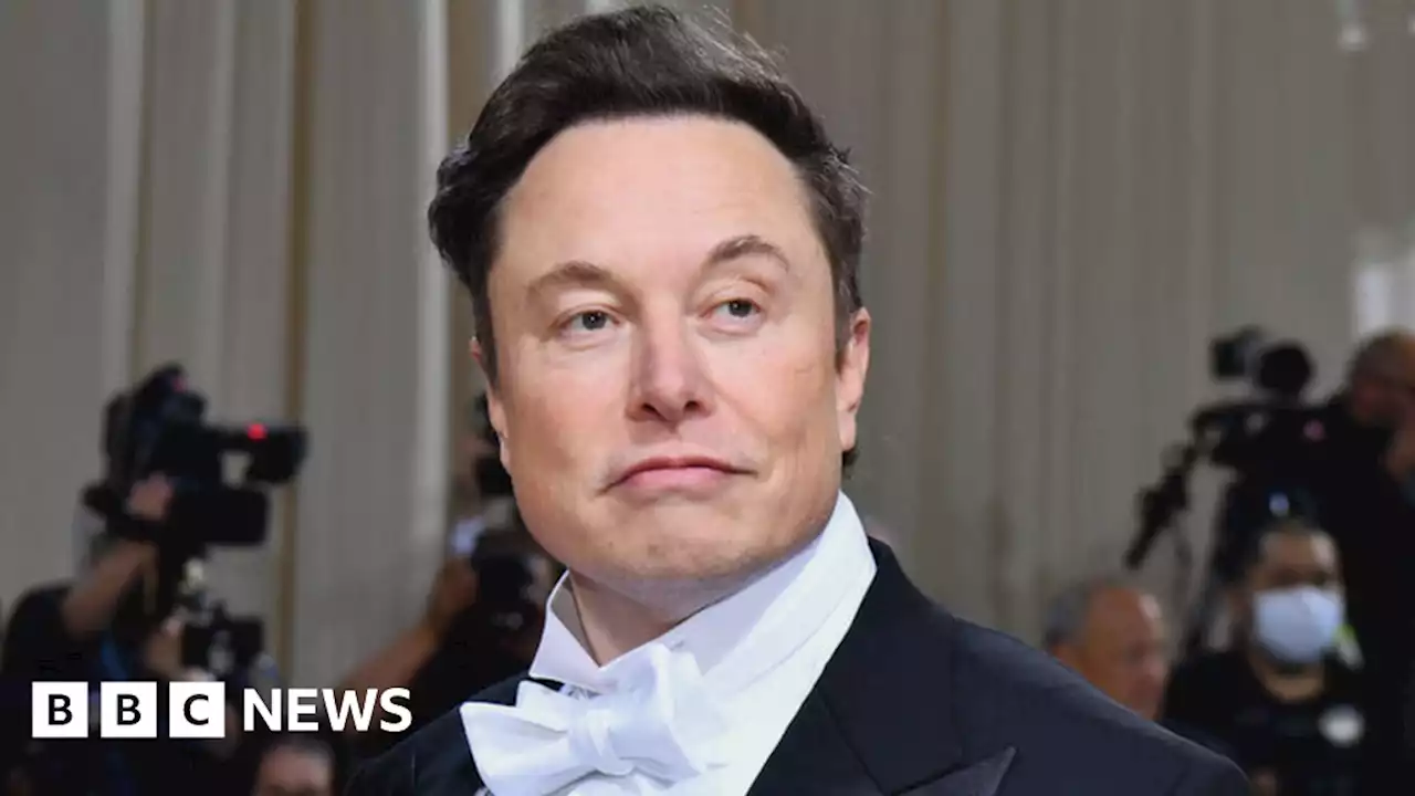 Elon Musk: Twitter asks NI secretary what 'tosh' looks like