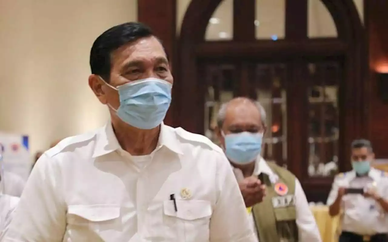 Luhut Siap Setop PLTU, Ini 12 Pembangkit yang Dapat Pensiun Dini