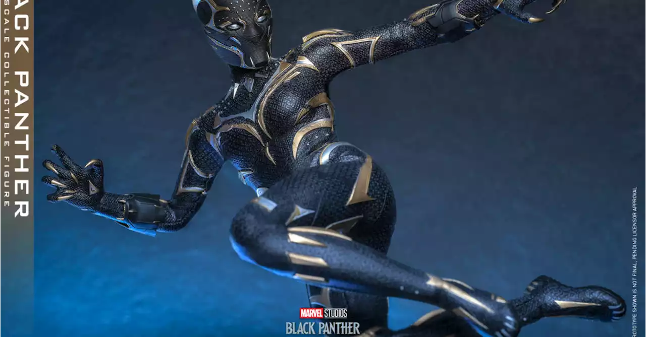 Hot Toys Brings the New Black Panther from Wakanda Forever to Life