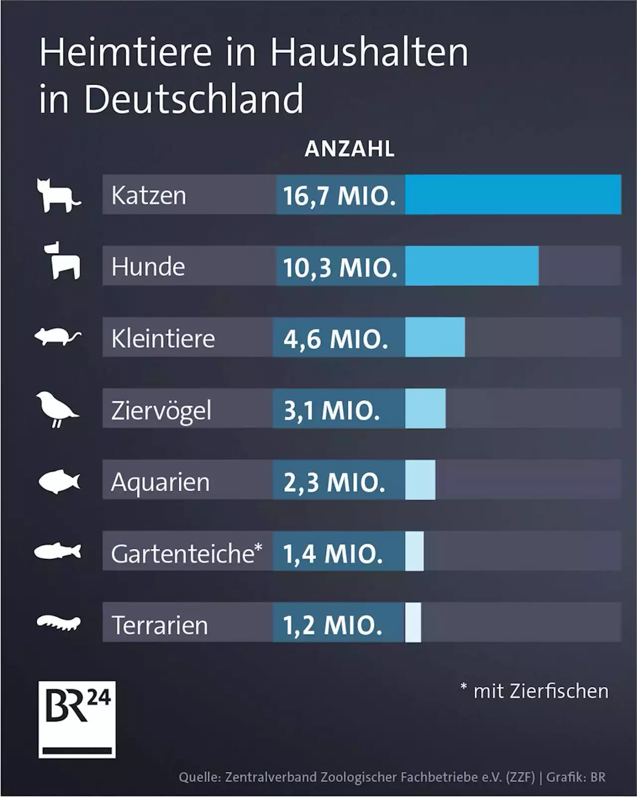 Die 7 wichtigsten Tipps für ein langes Hundeleben