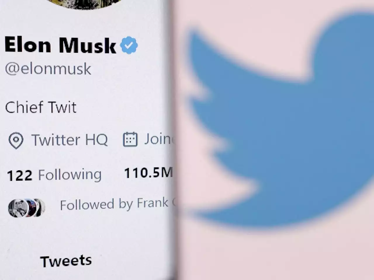 Elon Musk says he 'killed' new official label for Twitter accounts