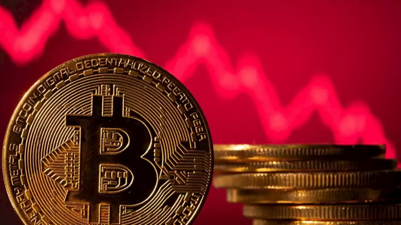 Crypto markets slump as FTX seeks to raise new funds