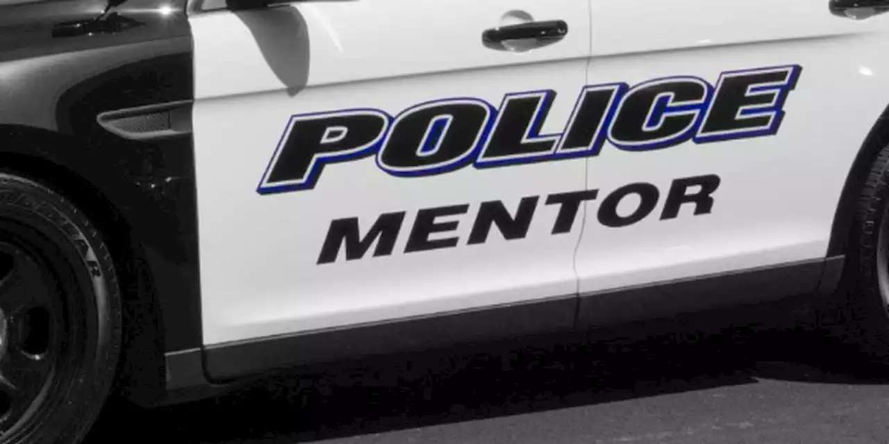 Mentor police to use plain-clothed officers, unmarked cars to curb holiday crimes