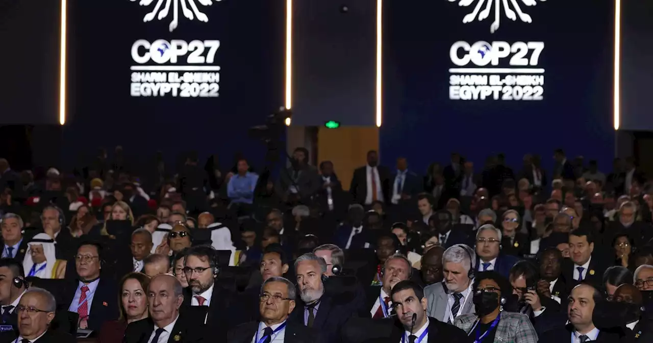 'A Twisted Joke': 636 Fossil Fuel Lobbyists Swarm COP27 Climate Talks