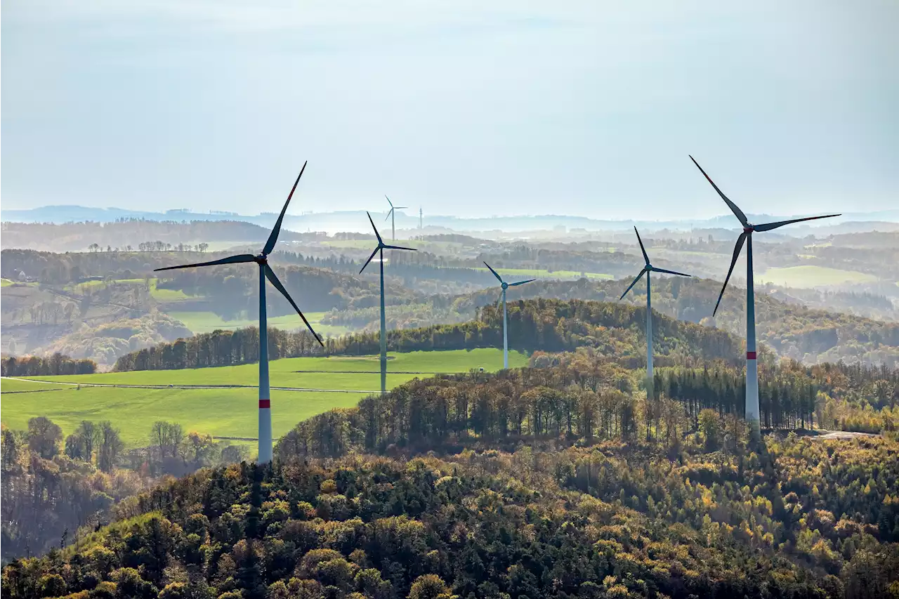 Nach Verfassungsgerichts-Urteil - Thüringen will Verbot von Windrädern in Wäldern rasch abschaffen