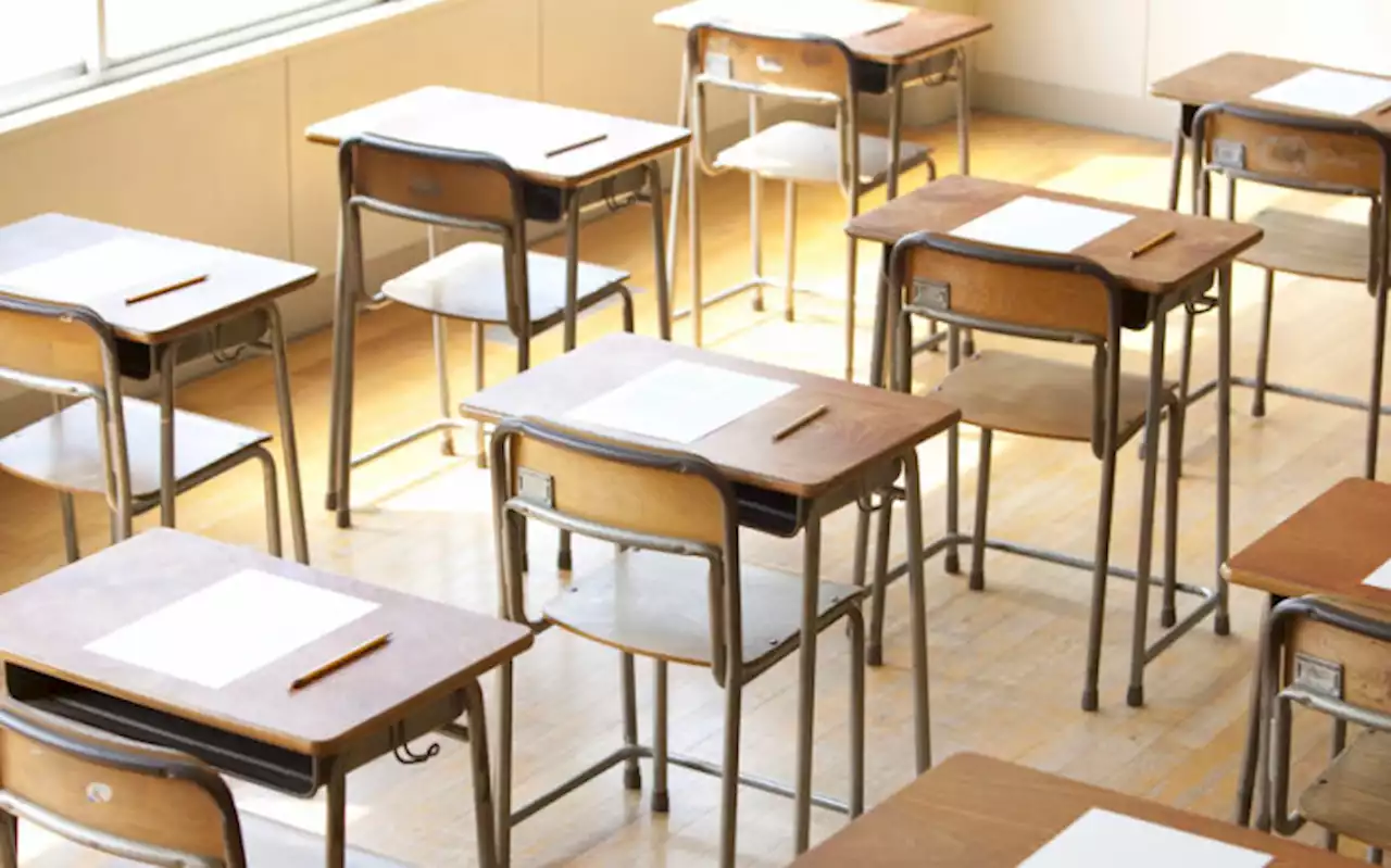 14 WC matrics caught with phones or crib notes in exams - Maynier