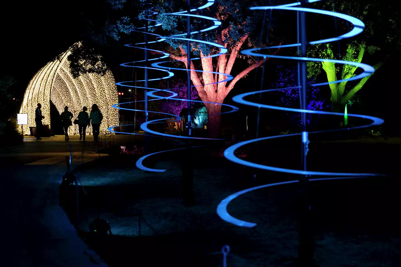 Sneak peek: 'Lightscape' returns to San Antonio