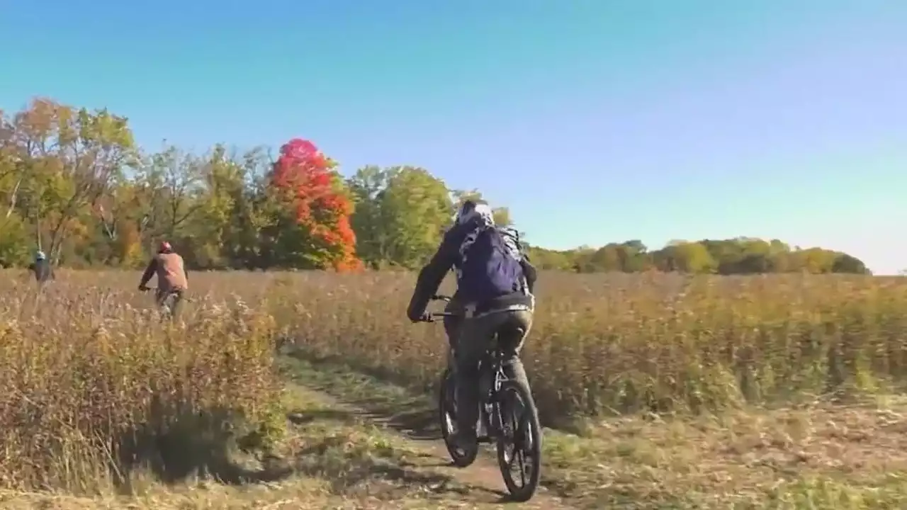 Cook County residents vote to fund improvements for local forest preserves