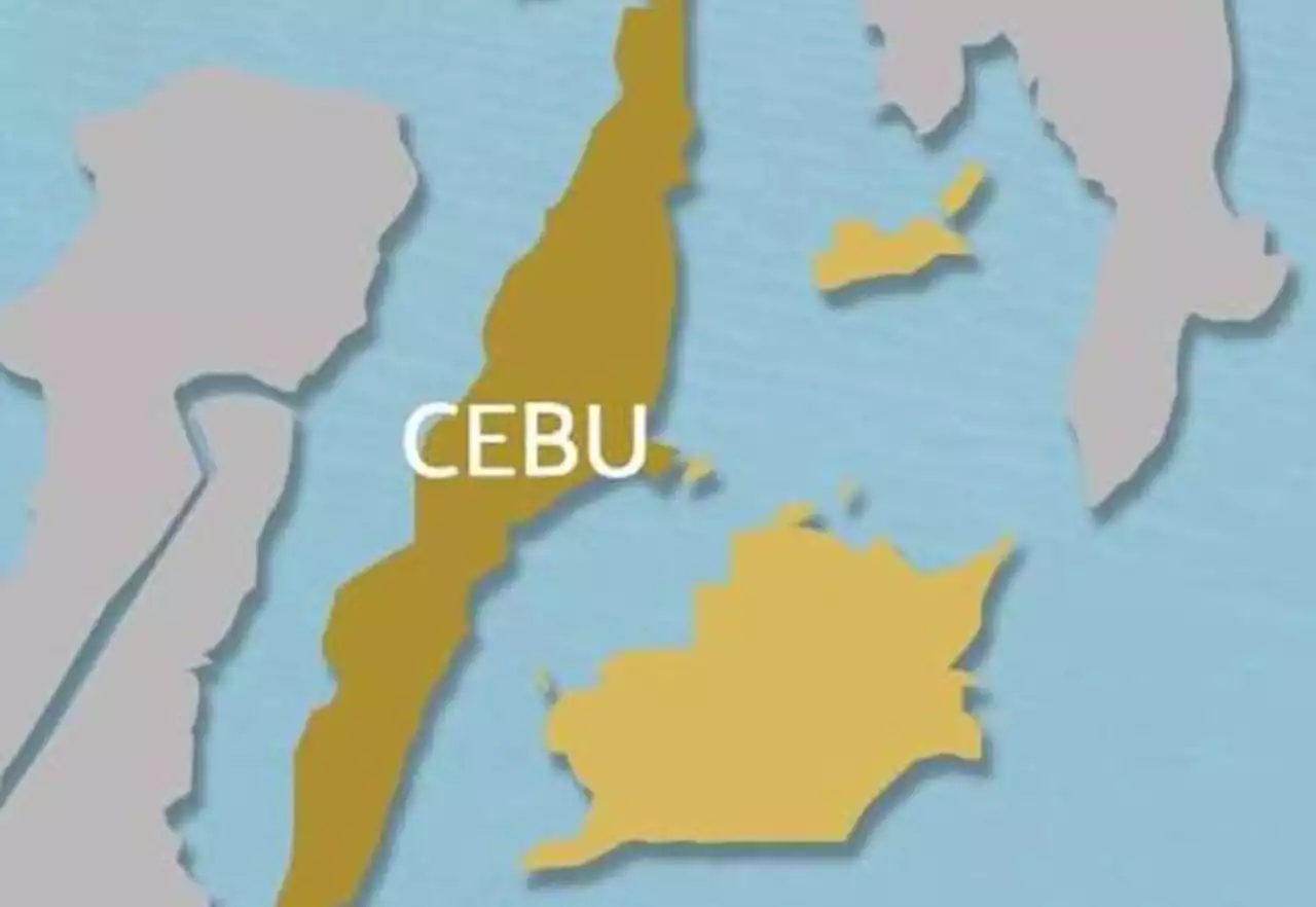 Cebu governor to extend ban on pork from Iloilo, Panay due to ASF