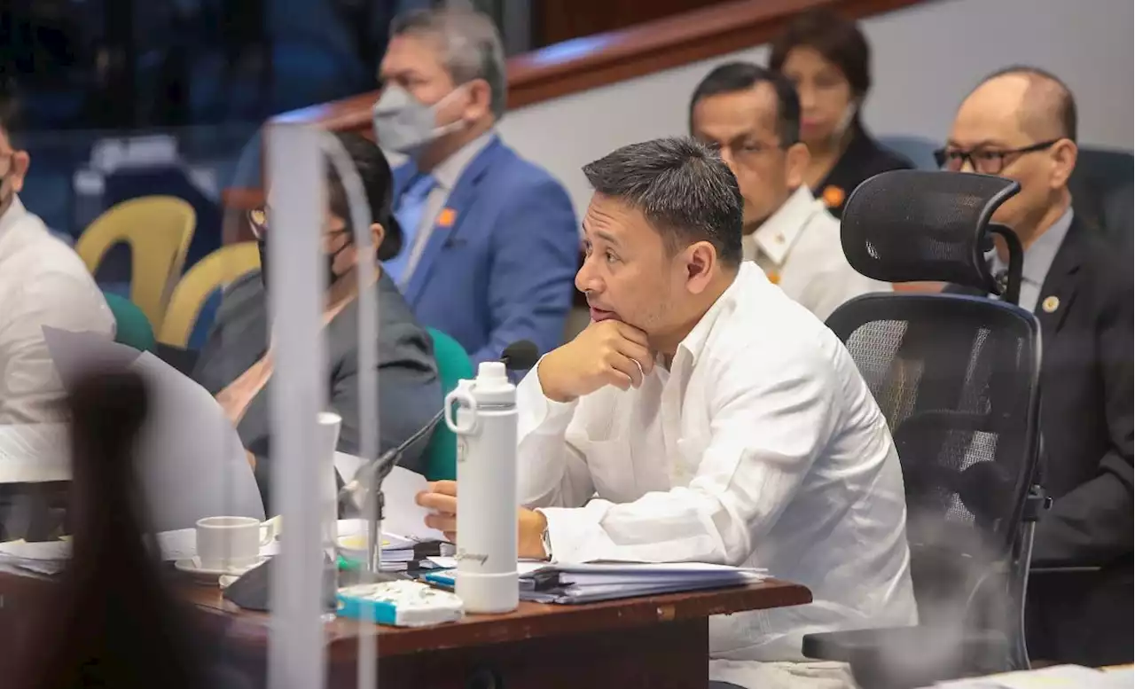 DOJ can't directly oppose POGOs as attached agencies lawyer for PAGCOR — Angara