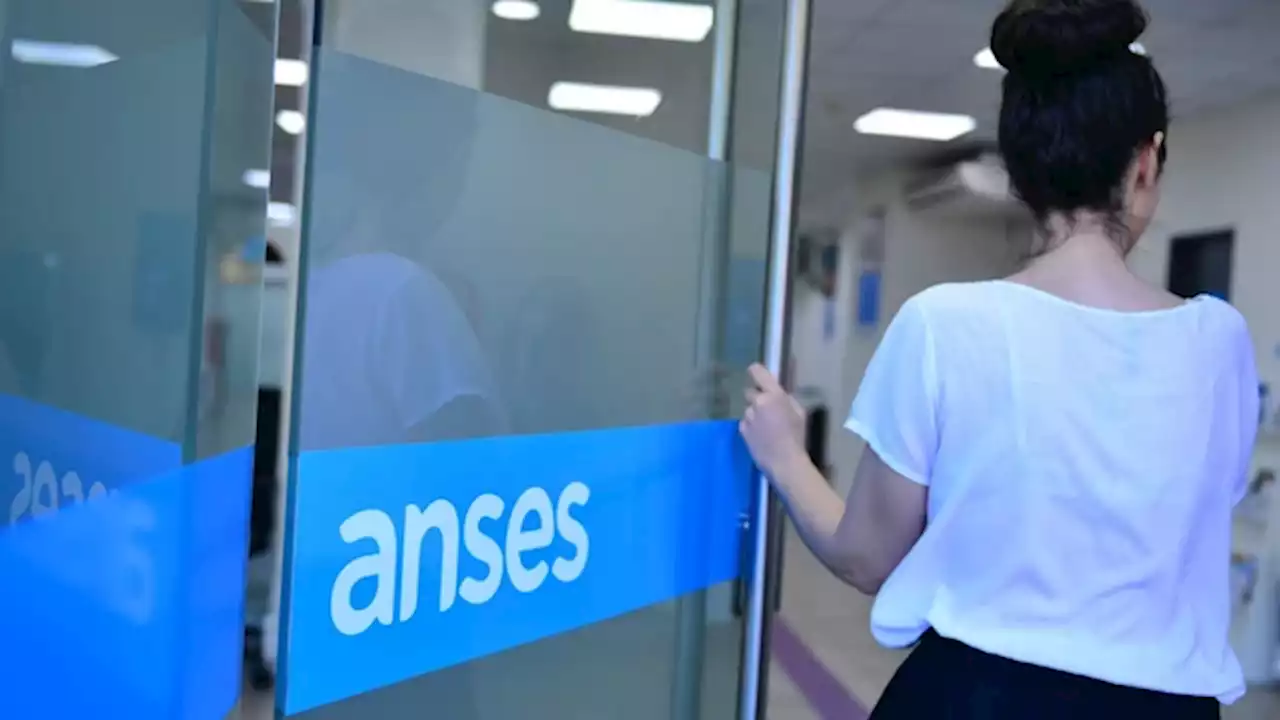 ANSES | Cuándo cobro: AUH, Tarjeta Alimentar del 10 de noviembre