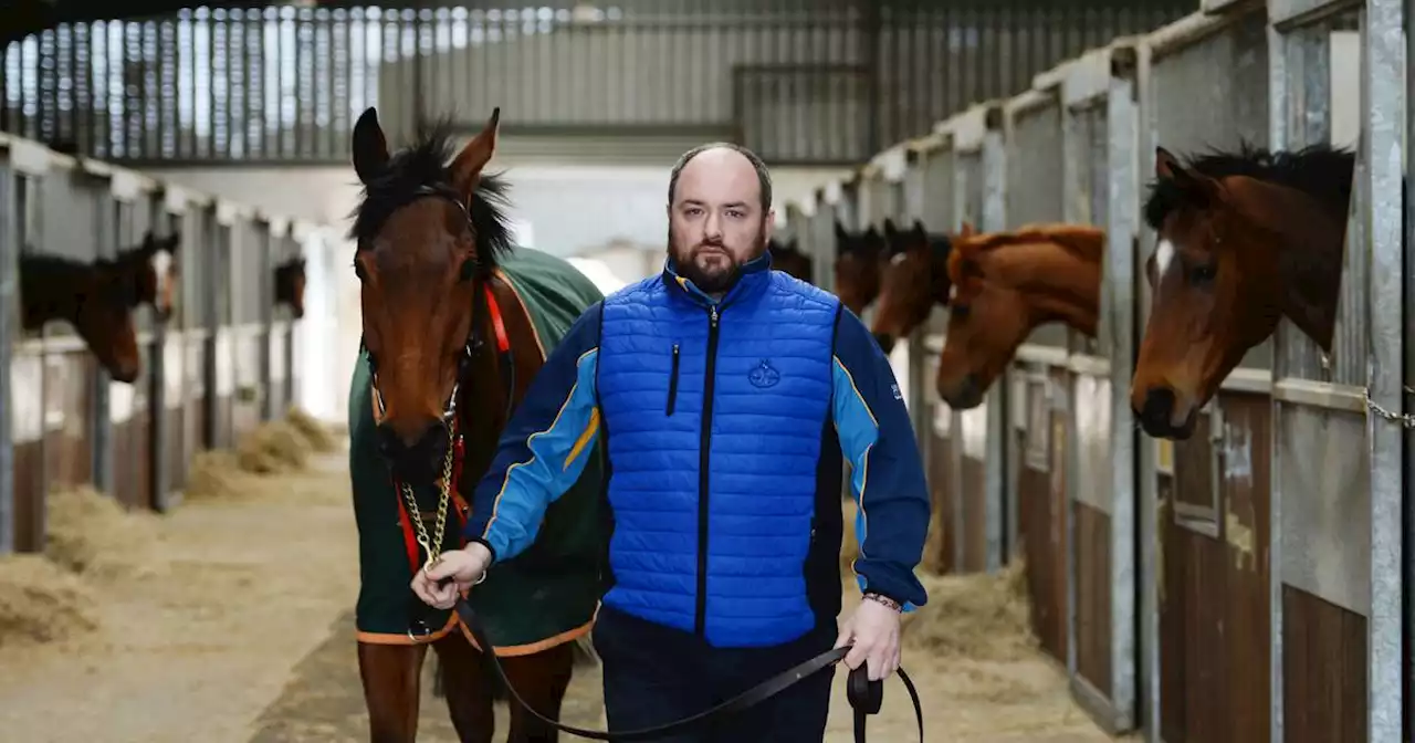 John McConnell has sights set on gilding his Cheltenham success