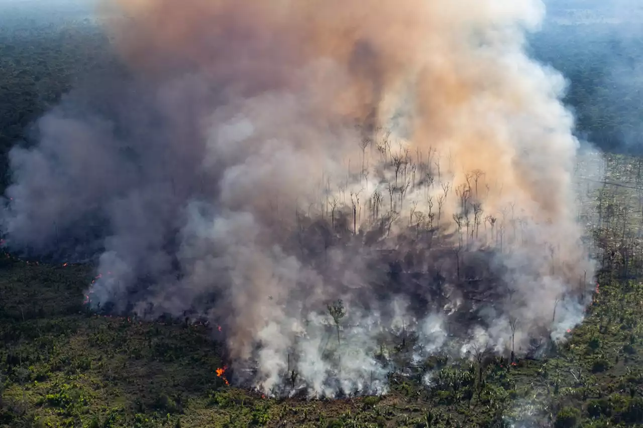 COP27: Países superestimam adaptação à crise do clima, diz relatório