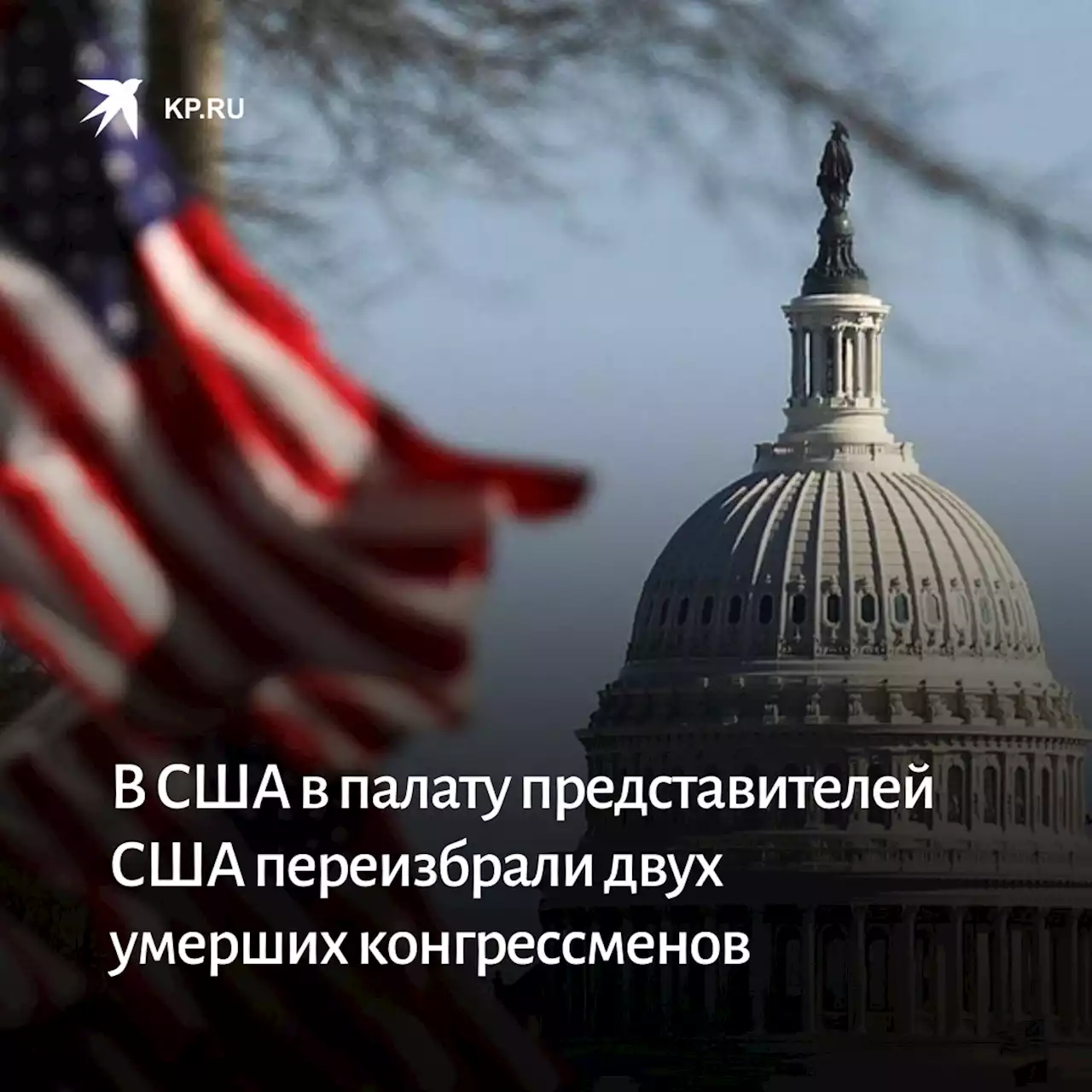 В США в палату представителей США переизбрали двух умерших конгрессменов