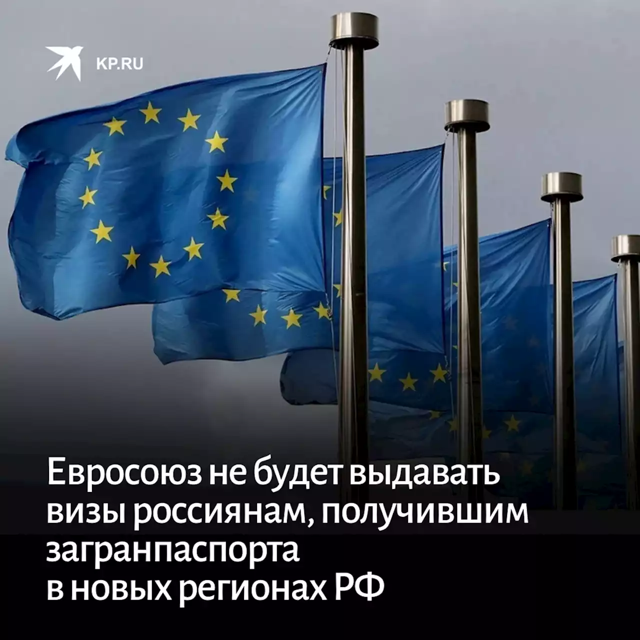 Евросоюз не будет выдавать визы россиянам, получившим загранпаспорта в новых регионах РФ