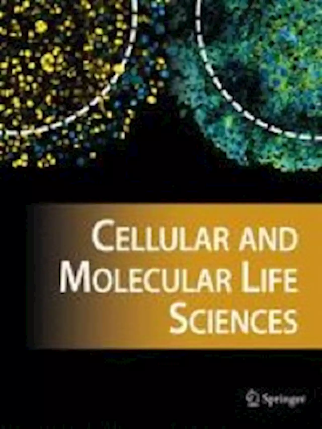 Postnatal deletion of Spns2 prevents neuroinflammation without compromising blood vascular functions - Cellular and Molecular Life Sciences