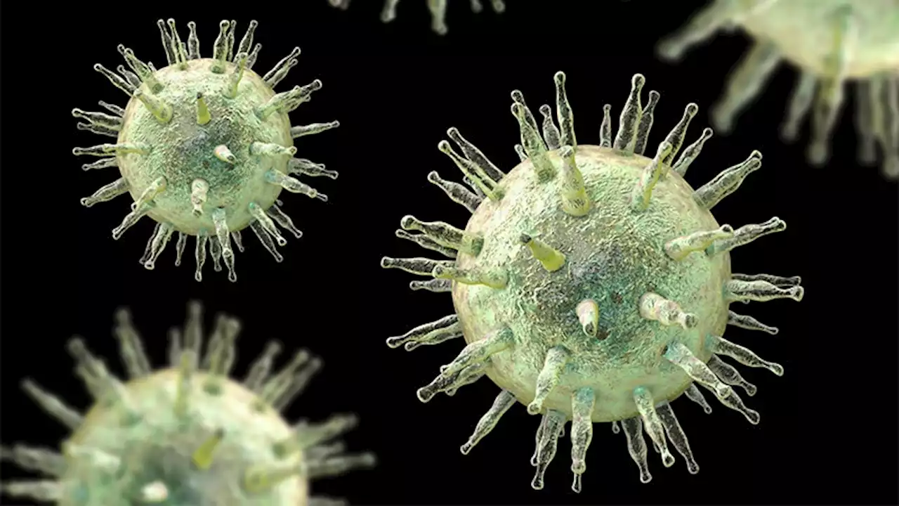 More Evidence for Epstein-Barr Virus' Role in MS