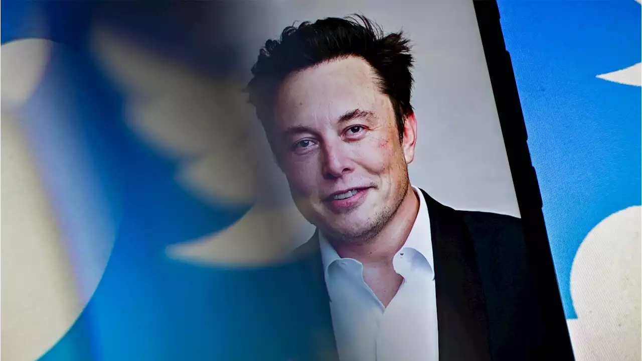 Twitter-Chef Musk bittet wieder zurück ins Büro