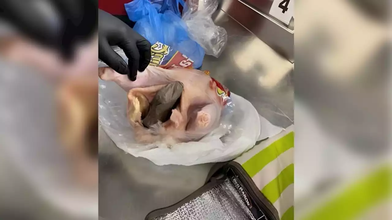 Gun found hidden in a raw chicken at Florida airport