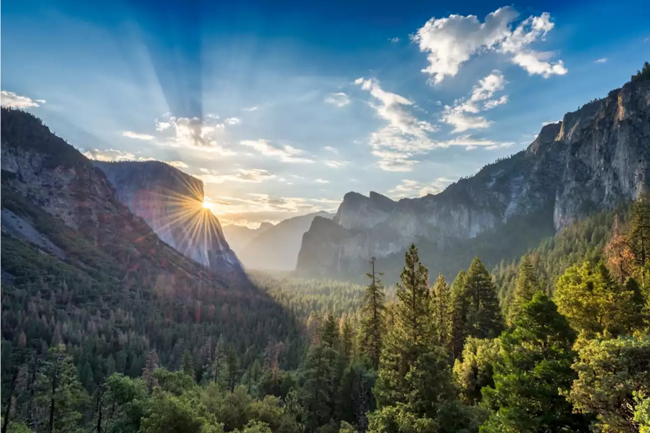 National parks like Yosemite are free on Friday Nov. 11 for Veterans Day