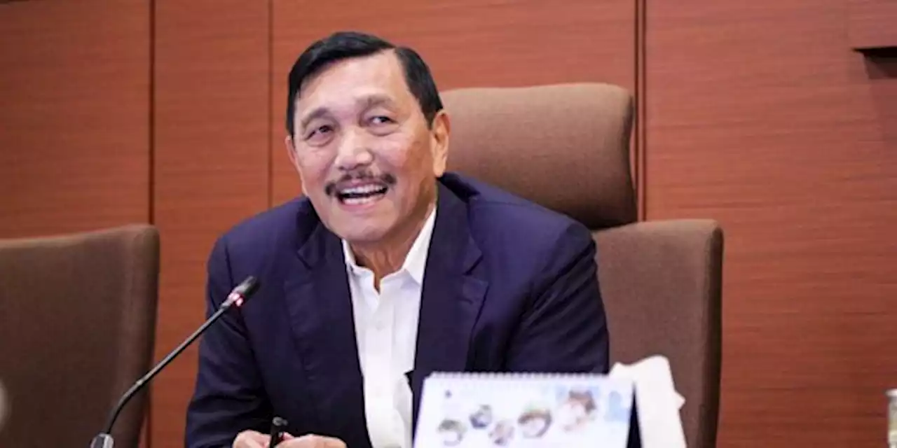 Luhut: Jangan Merasa RI Minta-Minta ke Negara Lain | merdeka.com