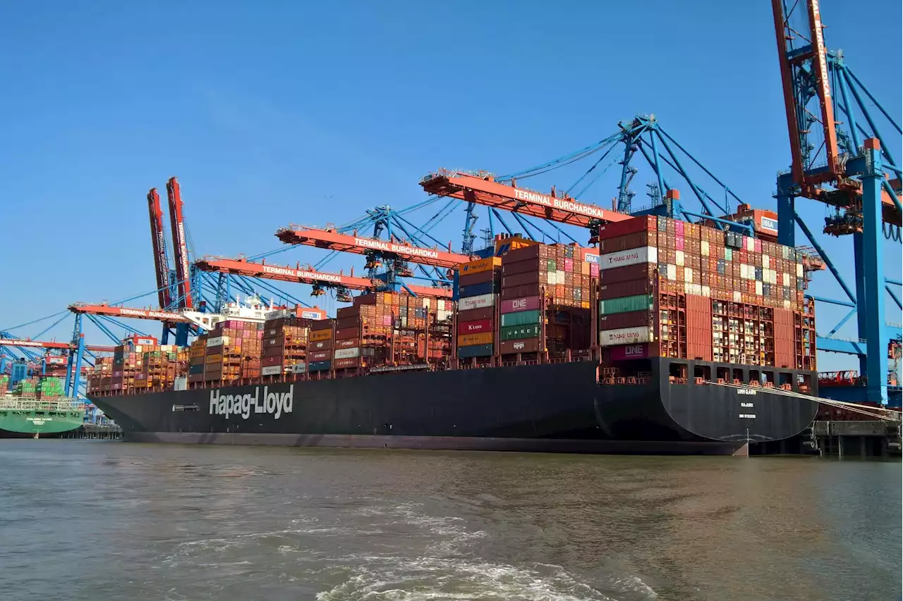 An der Alster knallen die Korken: Unglaublicher Geldregen bei Hapag-Lloyd