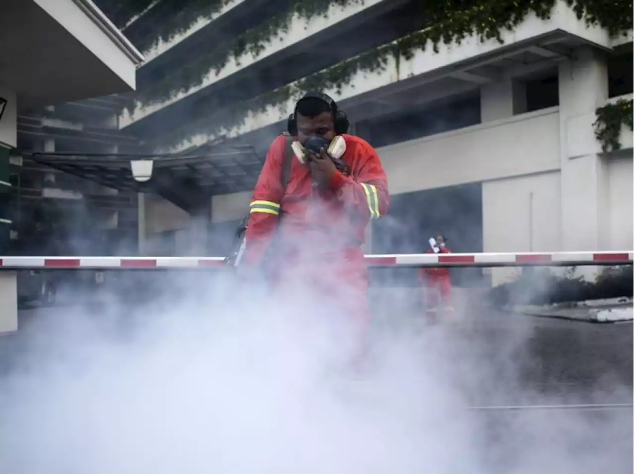 Dengue cases up 16% last week | The Malaysian Insight