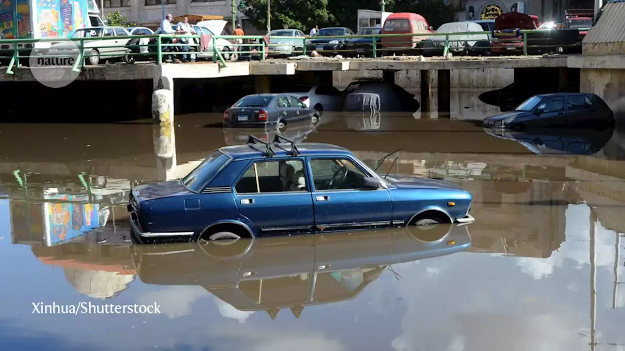 COP27: Rich countries must stop stalling talks on climate loss and damage compensation