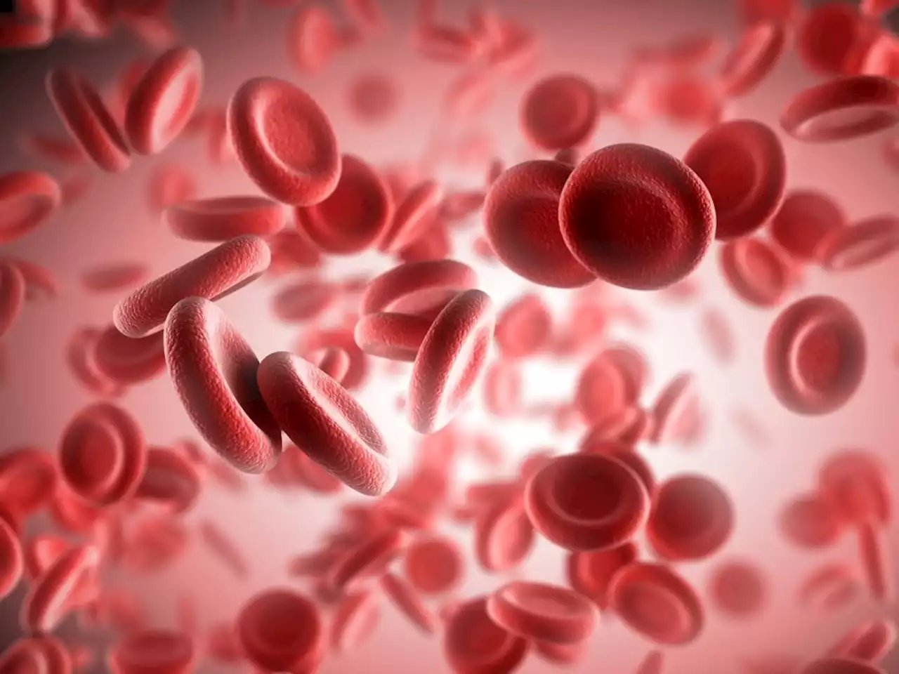 First transfusions of lab-grown blood