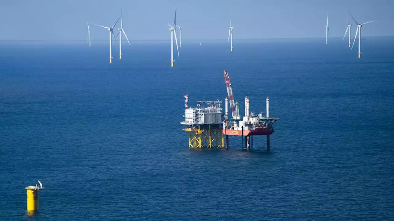 Duitse energiereus RWE bouwt nieuw windpark voor Nederlandse kust