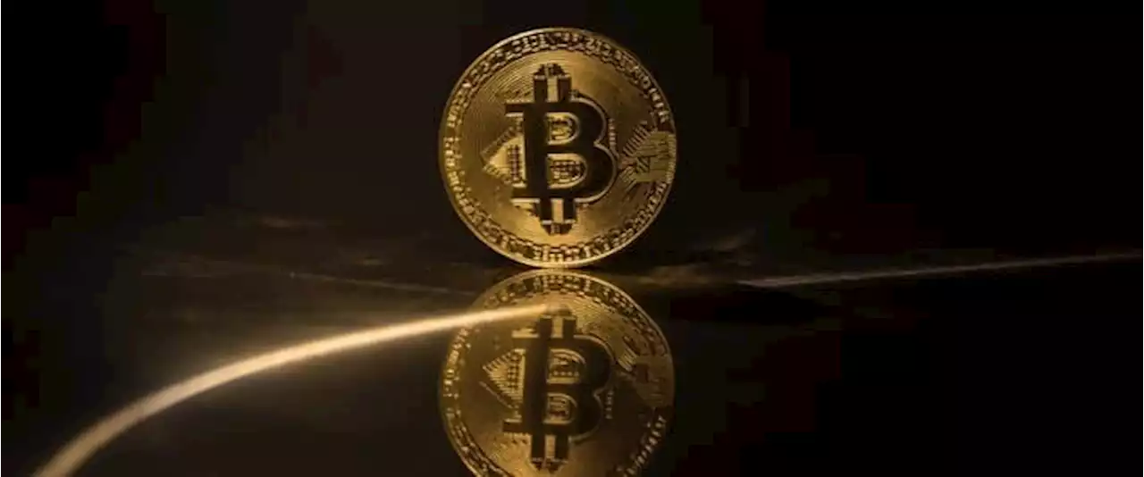 Bitcoin Facing An Existential Crisis As Exchange Meltdown Continues | OilPrice.com