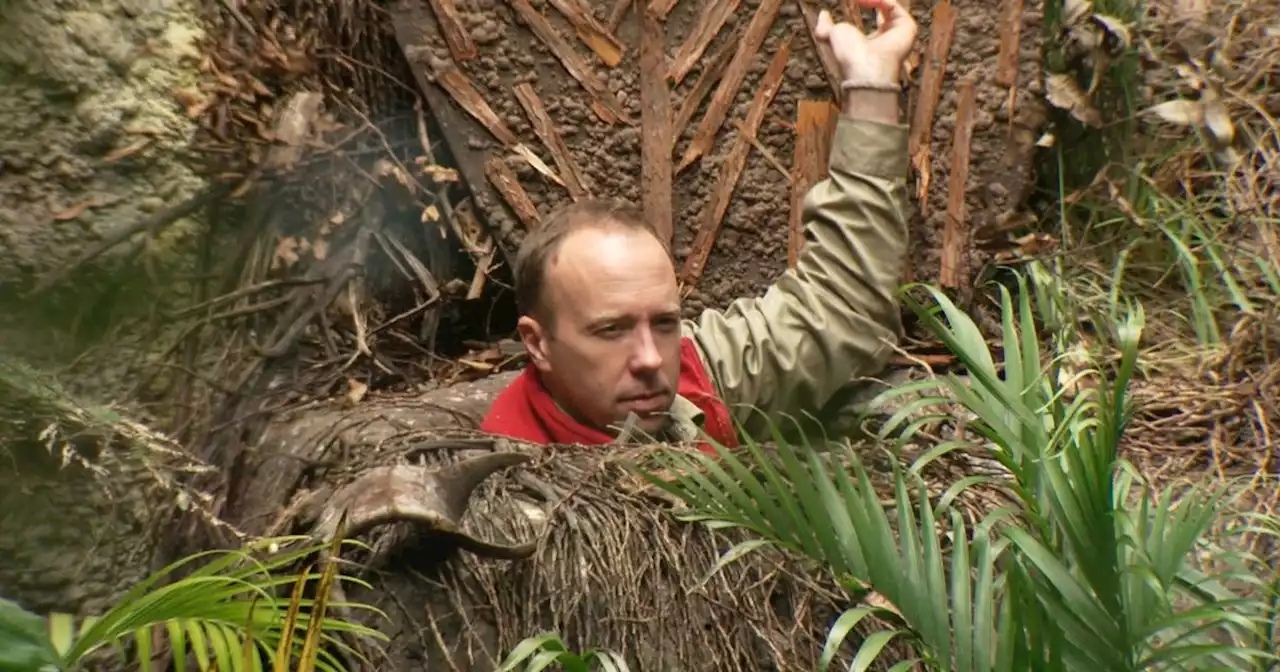 I'm A Celeb viewers in hysterics as Matt Hancock trips on iconic jungle bridge