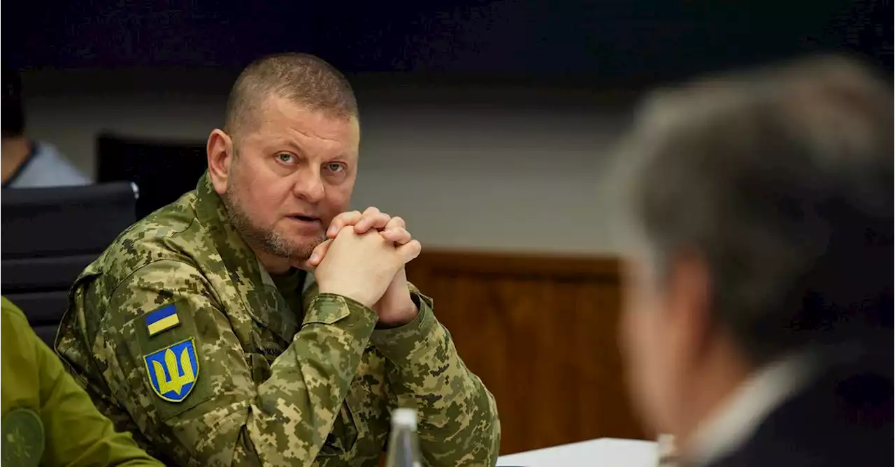 Ukrainian forces advance in south, capture 12 settlements - army chief