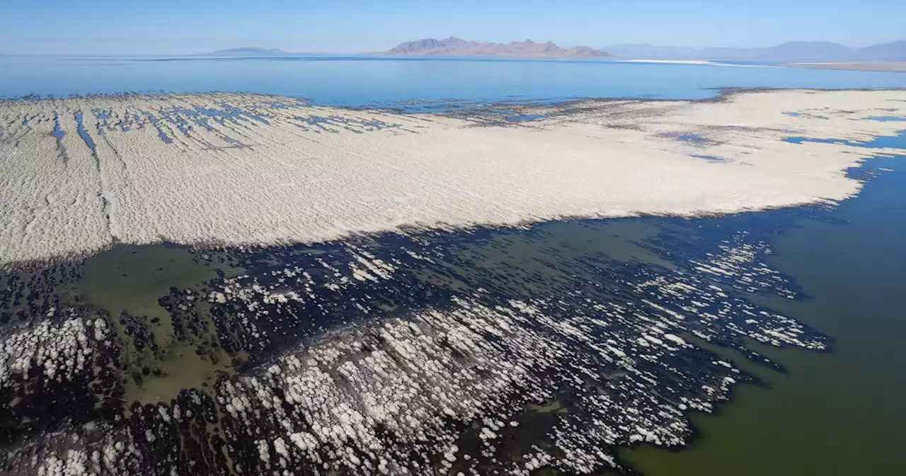 Tim Glenn: Shrinking Great Salt Lake will have an impact on your personal future