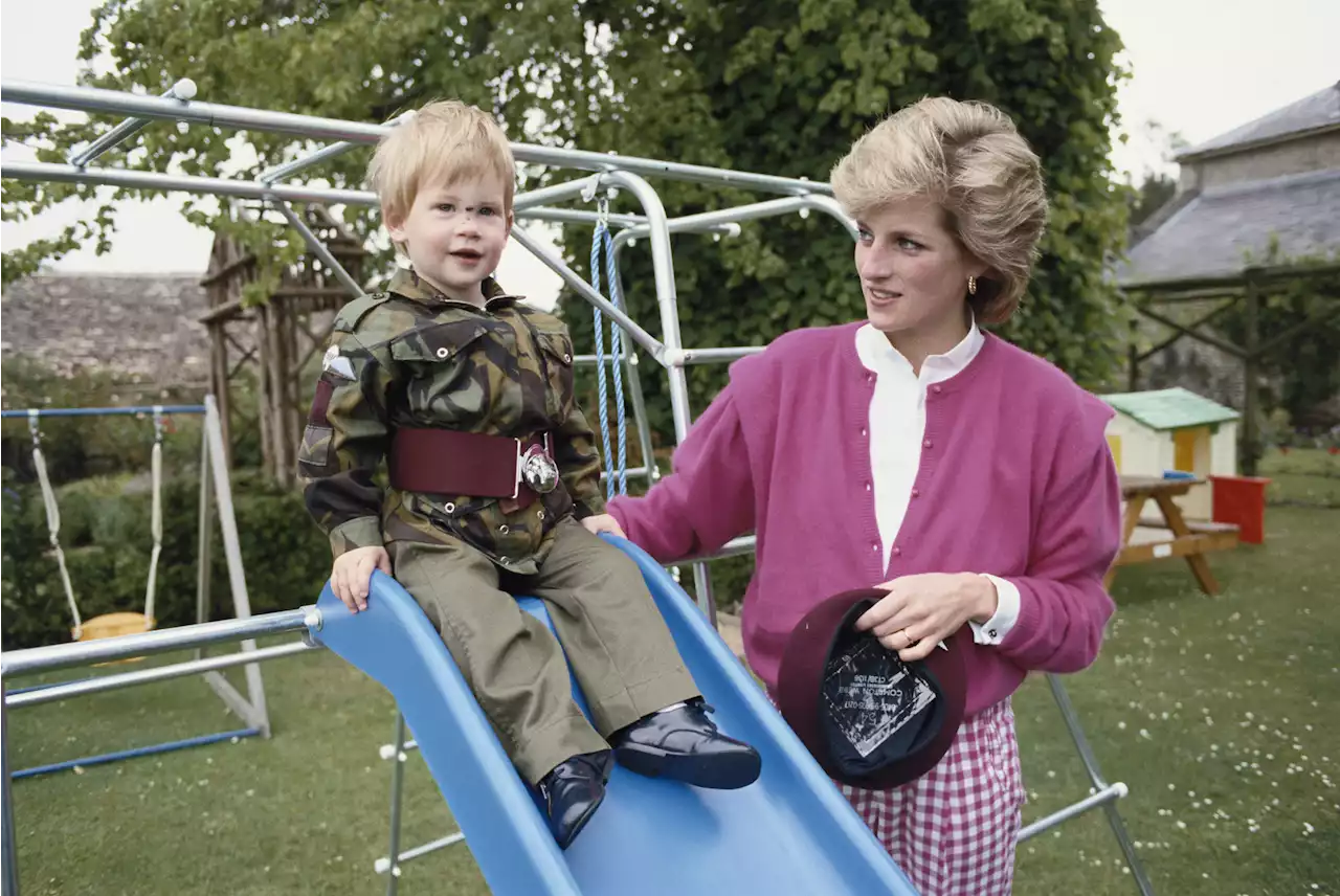 Did Princess Diana Leave Prince Harry a $10M Inheritance?